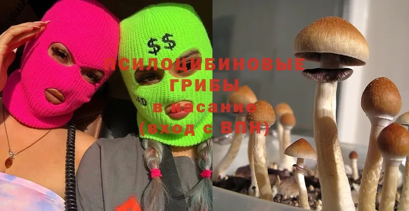 Галлюциногенные грибы Psilocybe  shop официальный сайт  Хабаровск 